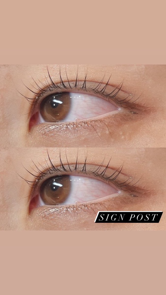 東武東上線のtwitterリアルタイム検索結果 Meyou ミーユー