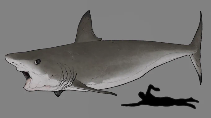 おは海の古生物!! 