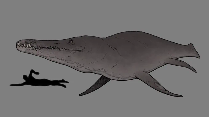 おは海の古生物!! 