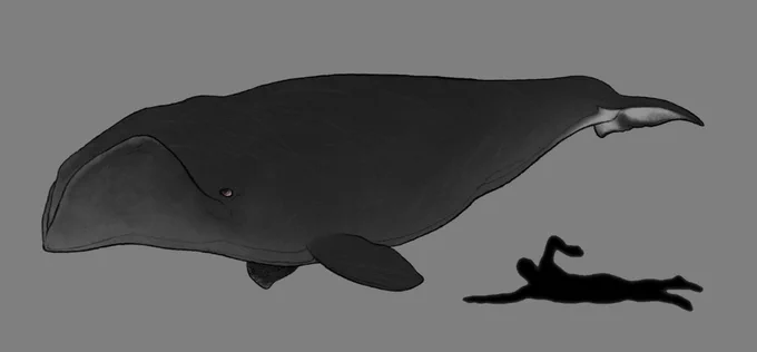 おは海の古生物!! 