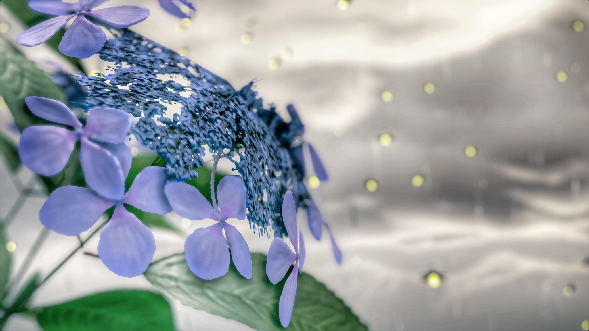 Mary Suckerpunchprod ツシマの紫陽花は額紫陽花 ガクアジサイ 日本に昔からある紫陽花の原種です この 額紫陽花を改良したのが一般的に広く紫陽花と呼ばれるホンアジサイ 花の歴史についてもしっかり調べて原種の額紫陽花をツシマに咲かせている開発の