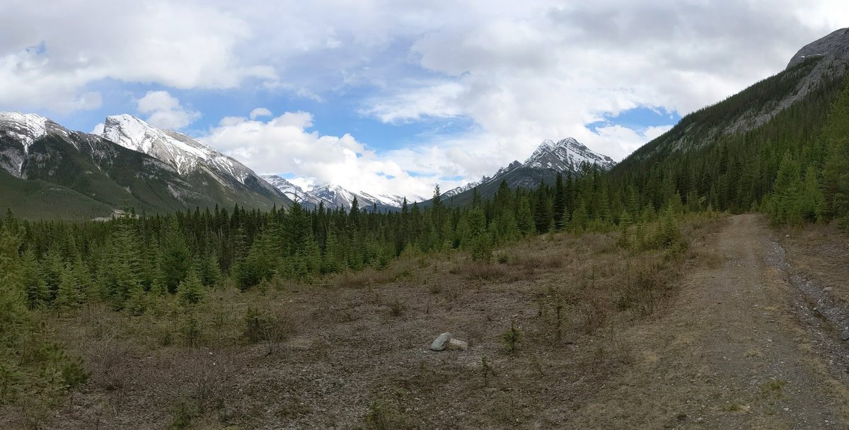 goldenmulletman's tweet photo. Looking south... #GDMBR https://t.co/DP5zFgsttP