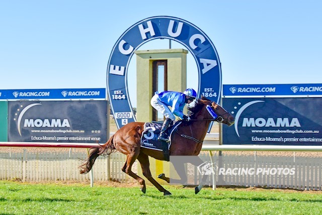 FULL FORCE GALE won his maiden &amp; Super VOBIS bonuses <a href="/EchucaRaceClub/">Echuca Racing Club</a> today for <a href="/NeilFarley07/">Neil Farley</a> &amp; <a href="/tdcarberry/">Thomas Carberry</a>. By <a href="/widdenstud/">Widden</a> sire FIORENTE, the gelding was bred and sold by <a href="/SunStudHQ/">SUN STUD</a> at 2018 <a href="/inglis_sales/">Inglis</a> Premier Sale. Well done!