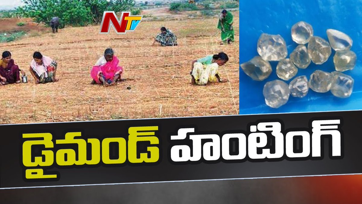 NtvTeluguLive's tweet image. కర్నూలు జిల్లాలో వజ్రాల వేట 
Watch video&amp;gt;&amp;gt;&amp;gt; 
  youtu.be/nN80knLK5Yk

#DiamondHunting #Kurnool #NTVNews #NTVTelugu