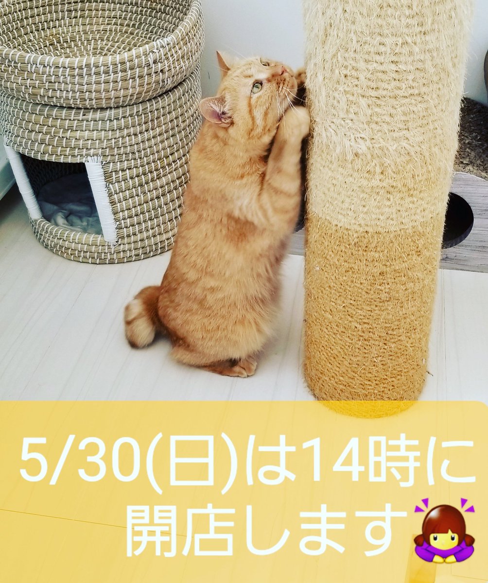 三木 Twitter Search