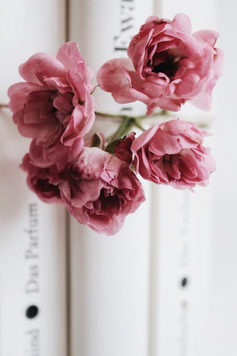 ☀️ (@xinwang_ai) on Twitter photo 