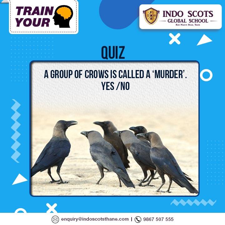 A murder? Really? What do you think?
Comment below if you know the answer.
#IndoScotsGlobalSchoolThane #CanYouFind #Quiz #QuizTime #Questions #QuestionsChallenge #QuizOfTheDay #Quizzes #Knowledge #TrainYourBrain #Puzzles #CanYouSpot #BrainPuzzle
