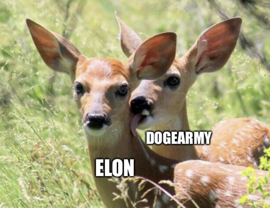 <a href="/elonmusk/">Elon Musk</a>