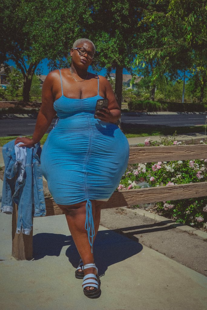 theAssstronaut on Twitter: "Dolphin https://t.co/pfKRsvY9mB" / Twitter