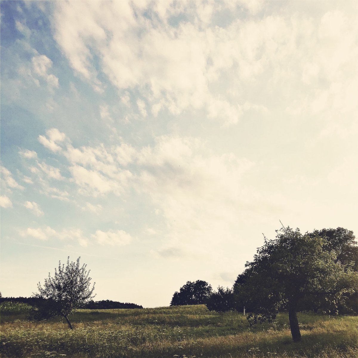 ankeanine's tweet image. Man muss weggehen können
und doch sein wie ein Baum:
als bliebe die Wurzel im Boden,
als zöge die Landschaft und wir ständen fest.

Ziehende Landschaft, 
Hilde Domin

It's time to say goodbye for me.
Wish you love &amp;amp; happiness.