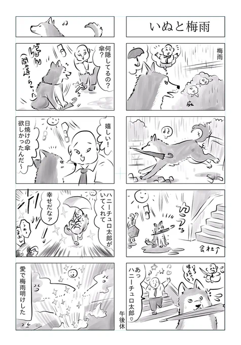 トラと陽子22 #漫画 #オリジナル #4コマ #猫 #ねこ #トラと陽子  