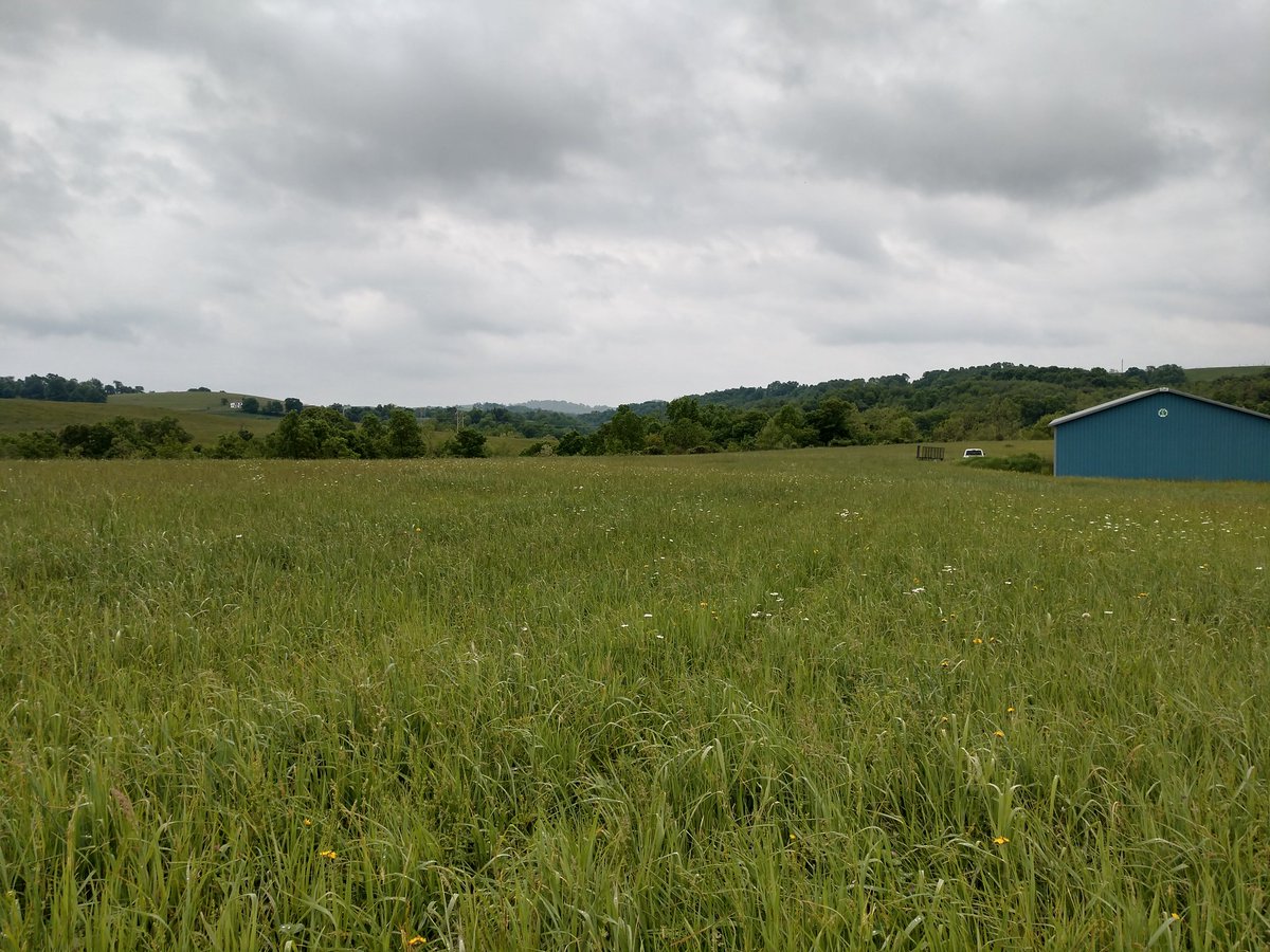 Turtlesong Farm tweet media