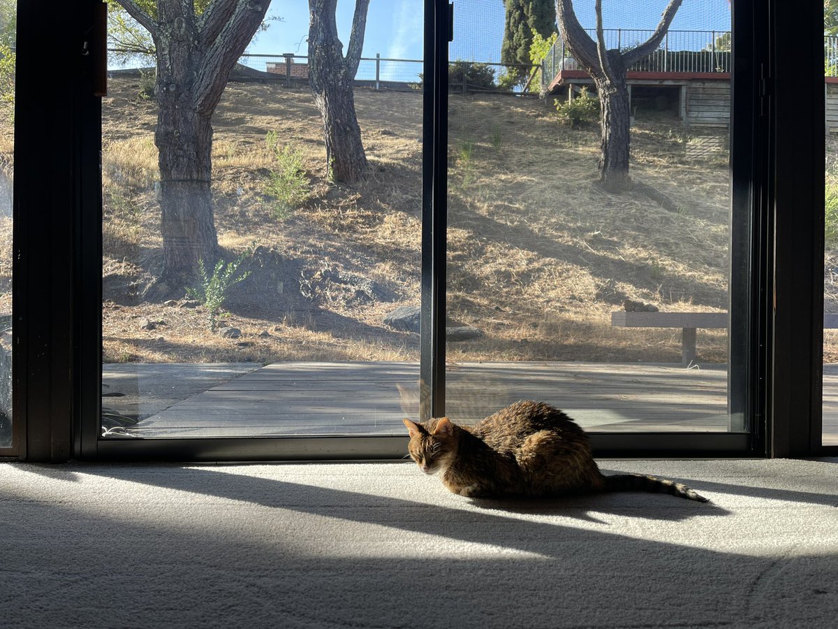 TToyger's tweet photo. Meditating https://t.co/Mdb6FQHZMG