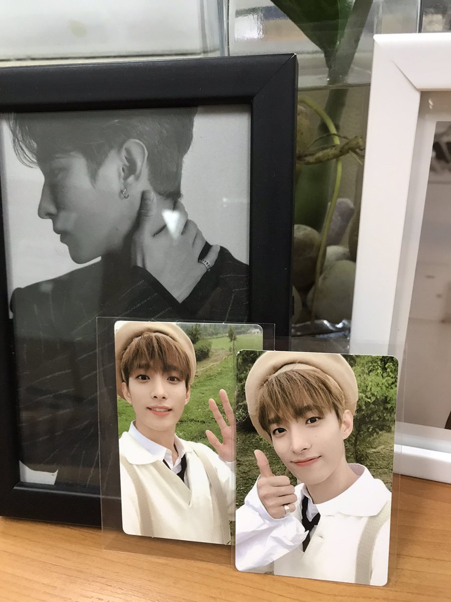 Zewpeps's tweet photo. เย้~ ได้น้องมาแล้วค้าบบ น้องถึงอย่างปลอดภัยเลยคับ จริงๆได้มาสักพักแล้วเพิ่งมีเวลาย้ายน้องเข้าบ้าน ใครอยากหาการ์ดหรือดีลการ์ด เราแนะนำร้านนี้เลย แม่ค้าน่ารัก ร้านอัพเดทตลอด #reviewssh https://t.co/27ODmN2aBW