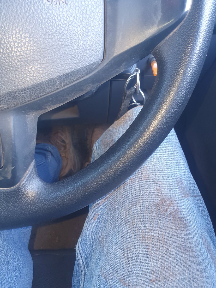 Uralba White Suffolk tweet media