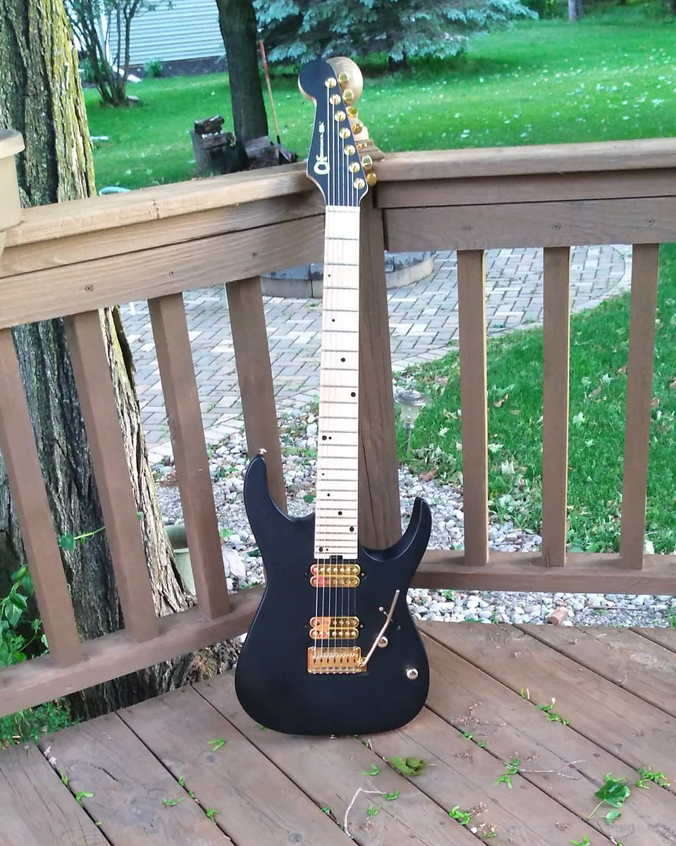 House/dog-sitting for my mother this weekend while she's out of town provides a lovely Vista for some pretty pics of my classy as fuck Charvel Nova @AngelVivaldi @CharvelGuitars