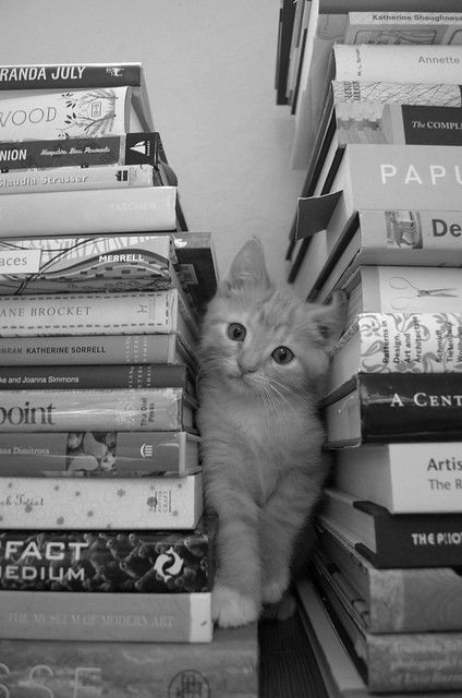 attackofthecute's tweet image. I'm in between books right now... attackofthecute.com/on/?i=13226