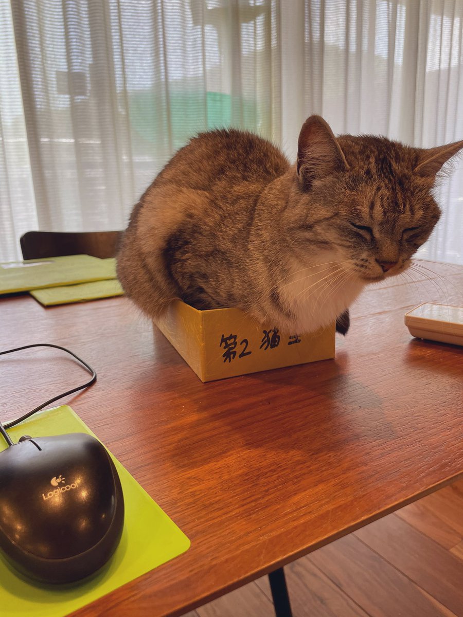 三日月 夜空 Moonightsky Twitter