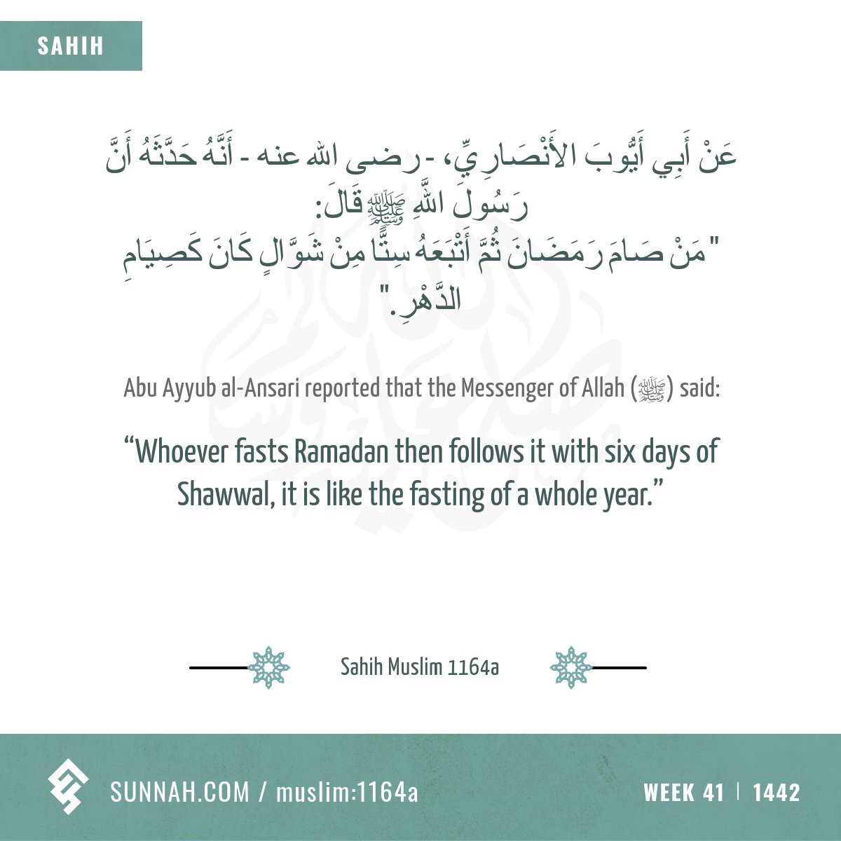 Week 41: On fasting in Shawwal
Sahih Muslim 1164a
sunnah.com/muslim:1164a