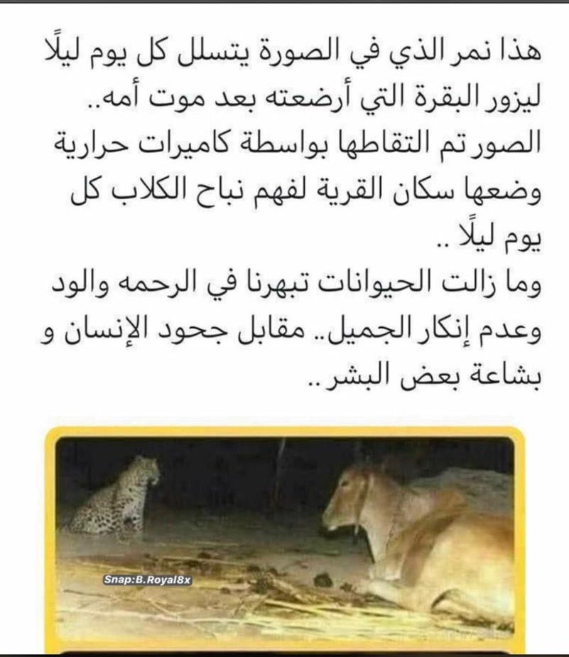 fahd88841's tweet photo. قصة وفاء بعد غياب الوفاء في بعض البشر https://t.co/CQw7lBbxYX
