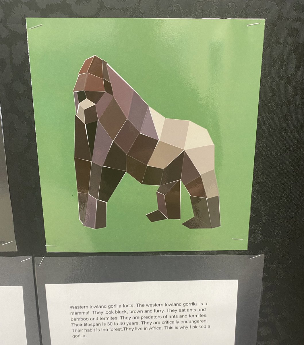 KatlinStrand's tweet photo. This project incorporated ELA, science, art, and math outcomes. Students first completed the paint by sticker pictures which involved spatial awareness by matching the shapes and numbers. Students then researched about their animal and wrote a paragraph. @bigrockbadger @fsd38 https://t.co/L8Mjb2Xqix