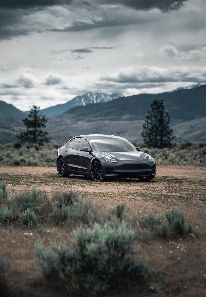 Gail Alfar tweet media