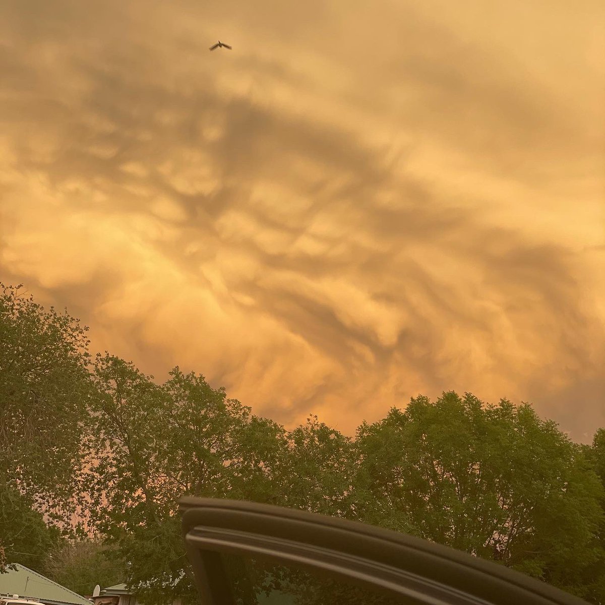 amandamarie105's tweet photo. Post-desert storm clouds. Glad I donβt live east of here! #CloudArt #DesertStorms #NewMexico https://t.co/AtvcNikqDZ