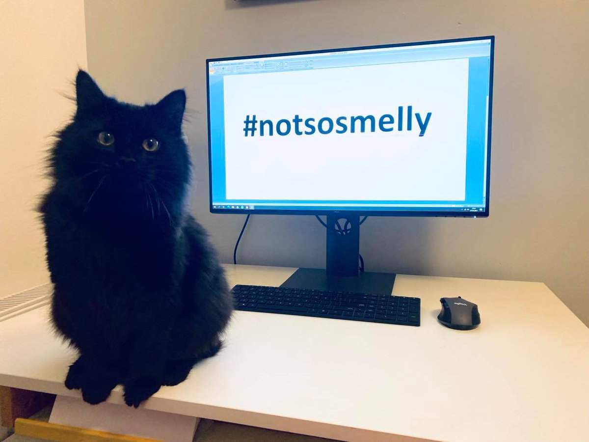 RugDocIO's tweet photo. ❤️ ANOTHER GIVEAWAY !? ❤️

▶️@SmellCatFinance is giving away 20x100$ worth of $PUSSY to celebrate their launch!
▶️ Check out how to participate right here
▶️ https://t.co/sRoDxfjrXX

#BSC #Polygon #YieldFarming #Giveaway #Airdrop https://t.co/yFf3EFHeyl