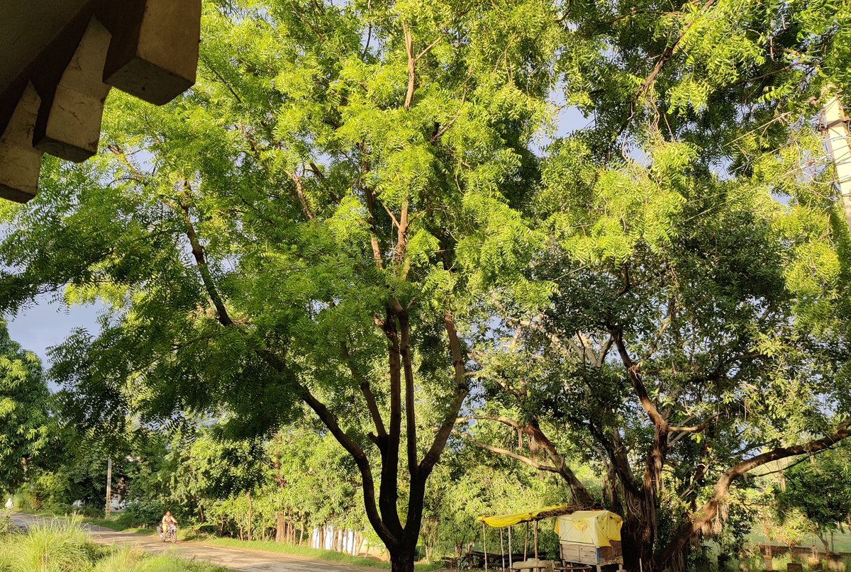 aibtech17's tweet photo. Good Morning ๐ #AIBFamily #aibtech
Guess the Picture #techgang
Morning or Evening ?
Wrong answer only ๐ https://t.co/SXJbLkp9vP