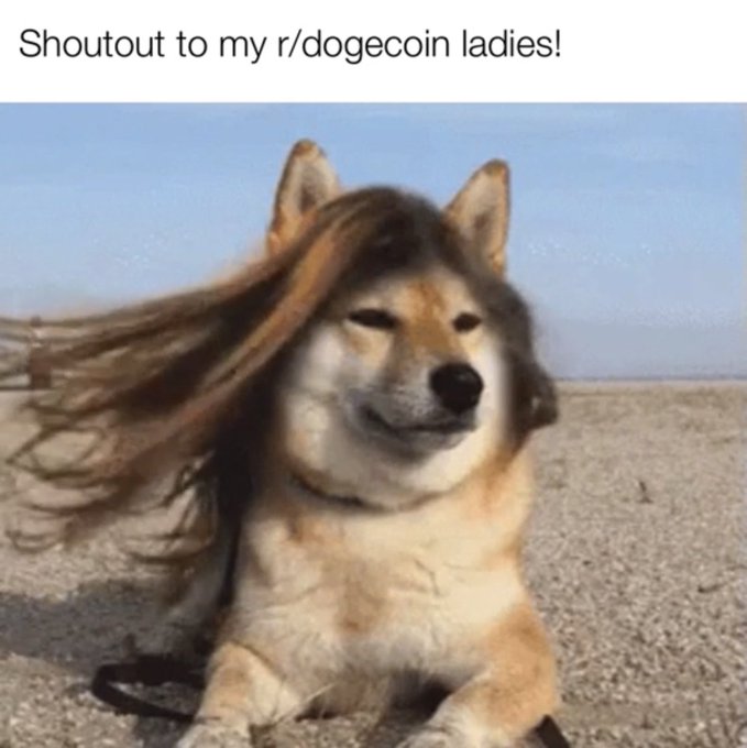 https://t.co/mZKfZnEQSV #doge #dogecoin https://t.co/rljTWCJtl0<a href="/tag/doge"class="tags">#doge</a><a href="/tag/dogecoin"class="tags">#dogecoin</a>