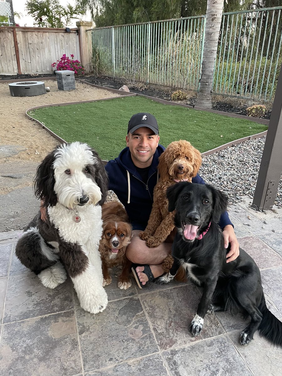Cazaresreports's tweet photo. Our family is growing #needmoredogs https://t.co/rlnHJ6qD08
