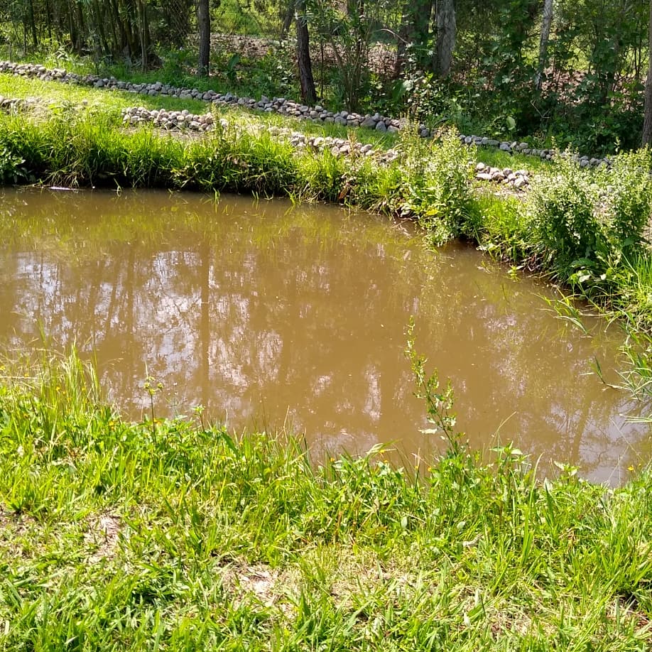 EsfacilserVerde's tweet photo. Estamos contentos de que más y más WCEco están llegando a lugares públicos. Parque Ecológico Totlali Totláli , un hermoso desarrollo que cuida la fauna y flora nativa👍. Instalaron el primer WCEco para el servicio de los investigadores del parque y servicio al público. https://t.co/pgEZP3kjvO
