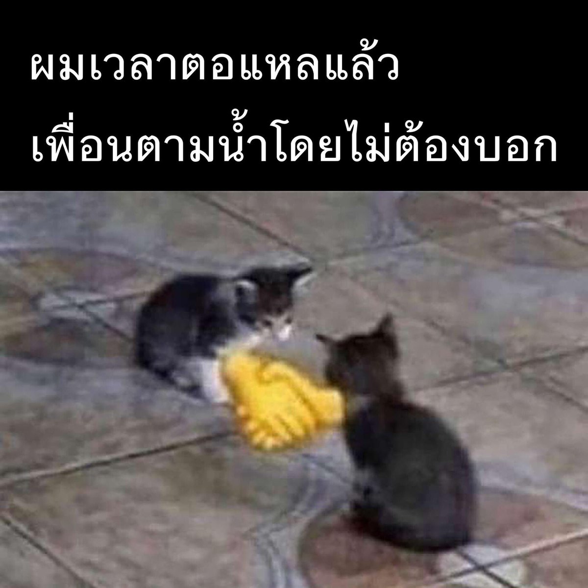 ดีมาก เพื่อนรัก5555555555555555555555555555555555