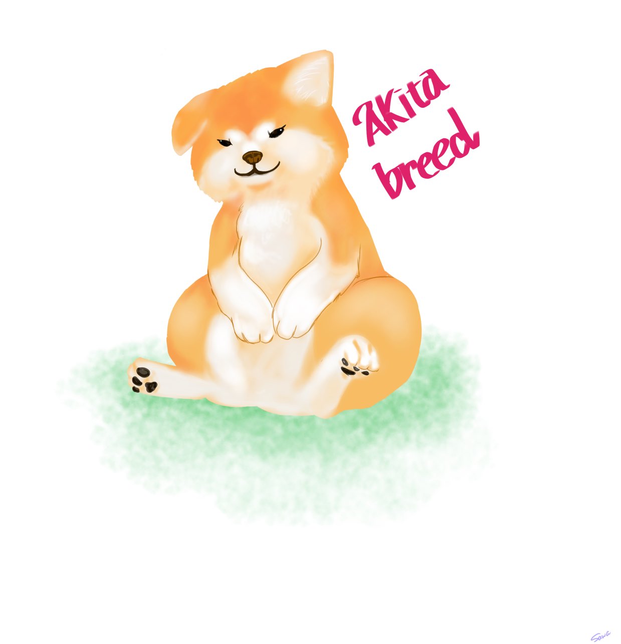 秋田犬イラスト Twitter Search Twitter