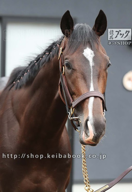 これは不思議な縁のあるタイトルホルダーとバスラットレオン 