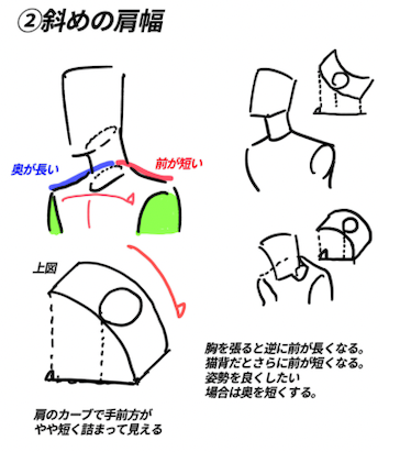 肩の描き方まとめ 基本形 正面から見ると腕は細く 内側に太くすると猫背になる アニメ私塾の漫画 肩の描き方まとめ 基本形 正面から見ると腕は細く 内側に太くすると猫背になる アニメ私塾の漫画