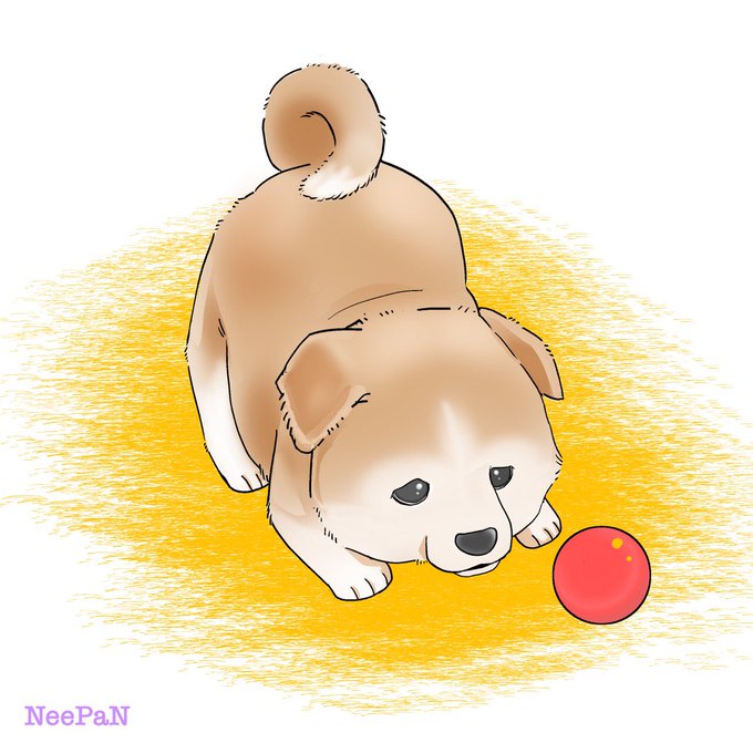 秋田犬子犬のtwitterイラスト検索結果