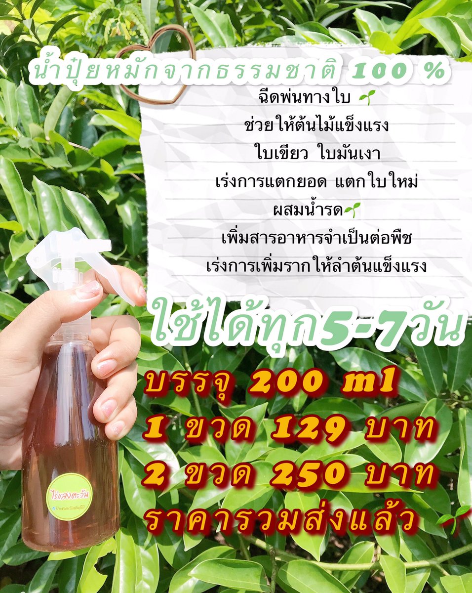 WitchAndSoul's tweet photo. ทุกคนคะช่วยรีทวีต 🙏🏼✌️ช่วยอุดหนุนเราได้มั้ยคะ วันนี้มาขายปุ๋ยหาเงินค่ะ ต้องการเงินจ่ายค่าเช่าร้านและค่าใช้จ่ายจำเป็นมากๆค่ะ ช่วย���ราด้วยนะคะ 🙏🏼🙏🏼😥😭 #ขายของออนไลน์  #โควิด19 #โควิดวันนี้ #ตลาดนัดบังทัน #ถูกและดี #ถูกบอกต่อ #พร้อมส่ง #วัคซีน #วัคซีนซิโนฟาร์ม https://t.co/OtzlUDW9nW