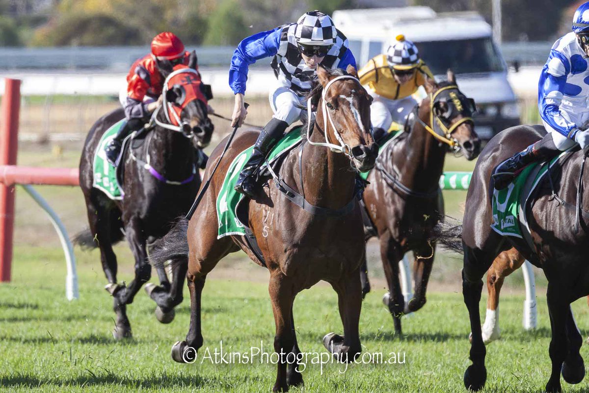 terry_hann's tweet photo. JAGUARY brought up a riding double for Jacob Opperman when they won the Weslo Security Handicap for Travis Doudle. @RacingSA @SAJockeyClub @DoudleRacing
More 🐎📷https://t.co/oBBFiFzM9U https://t.co/TyEJOEJGSA