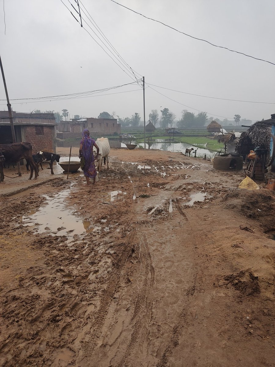 rostrong12's tweet photo. Respected sir, 
I am Rohit Raj, a resident of Village- Bhandra, Panchayat -Jogiya Maran, Police Station- Rajauli District - Nawada. 
805125.
Sir in my village here is no road. 
@DMNawada @yashhpcl @officecmbihar @PMOIndia https://t.co/VZgzaZPBwz