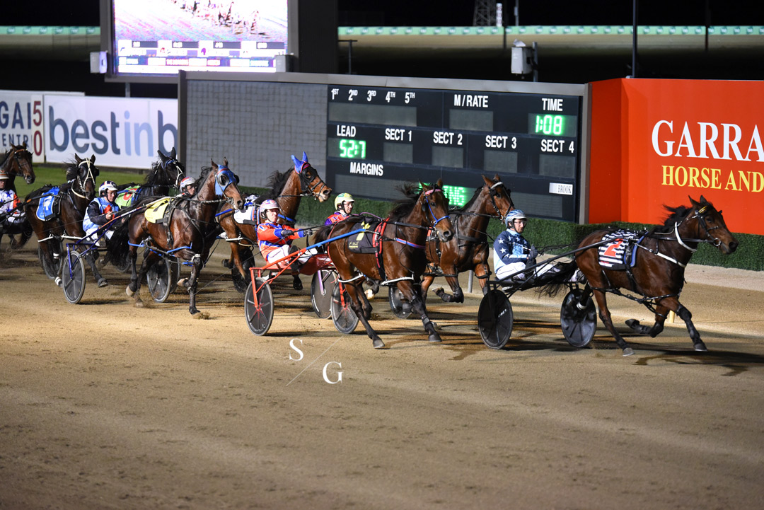 photographybysg's tweet photo. Kash Us Back takes out the @tabcomau Regional Championships State Consolation @CMTrackside 
Trained by @GemHewitt142 
Driven by @bradhewitt14 https://t.co/vYCdwCf4OG