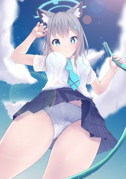シロコ 