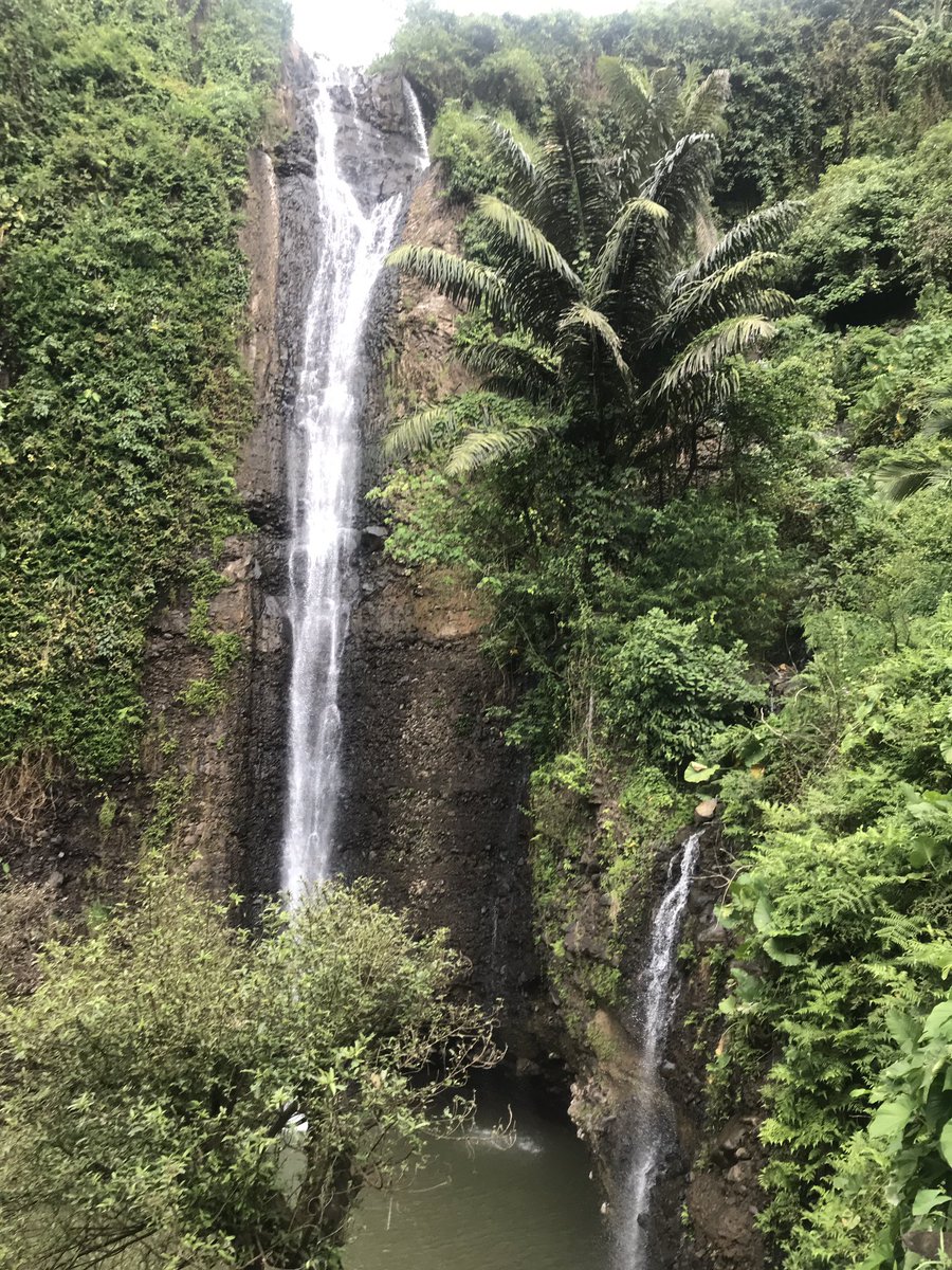 jackblues_8's tweet photo. Nglayap ning Air Terjun Songgo Langit
#japara https://t.co/peuT06It1e