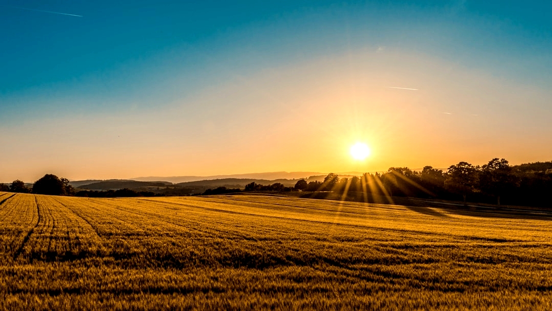 Home Farm Stoves tweet media