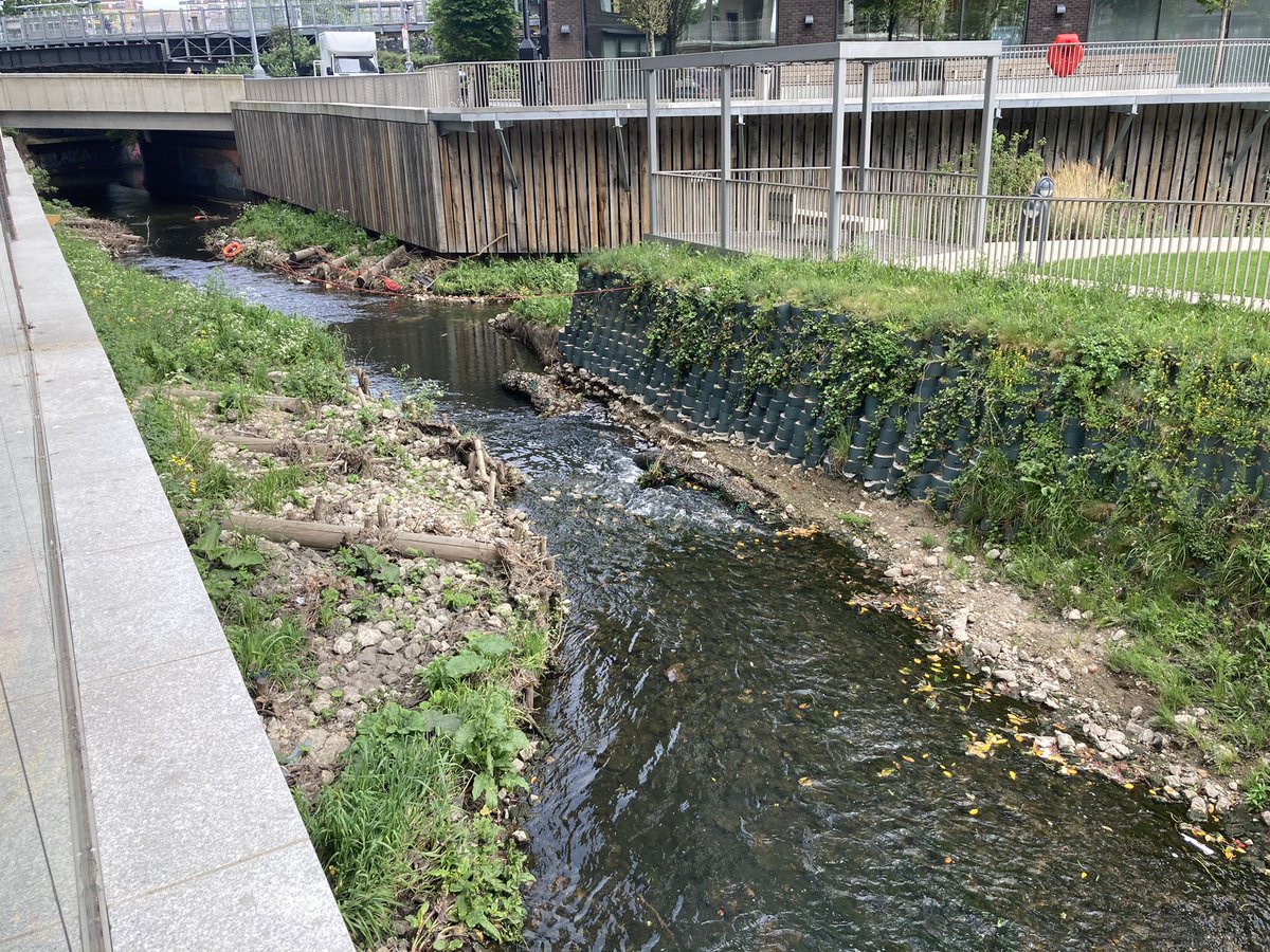 qwag's tweet photo. We’re about to go into the #RiverQuaggy and the Ravensbourne at the restored confluence for the first time, as the first of this year’s #3RiversCleanUp #3RCU #HealthyRiversProject https://t.co/YbhV0nlhZf