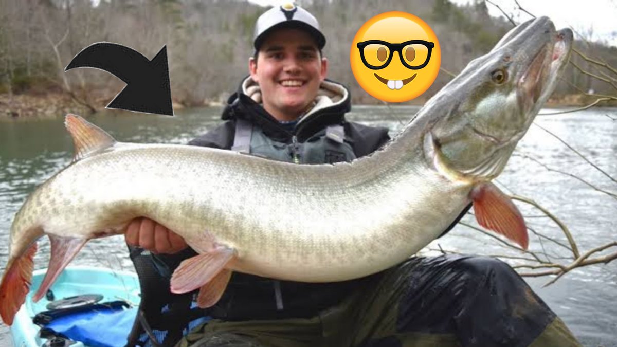 WildlifeKb's tweet photo. friends,
Click once on this video If you don't like it, leave And if you like it, please subscribe, like and comment
Link:
https://t.co/UL8PKrTrcz https://t.co/pqoSFA3tkX