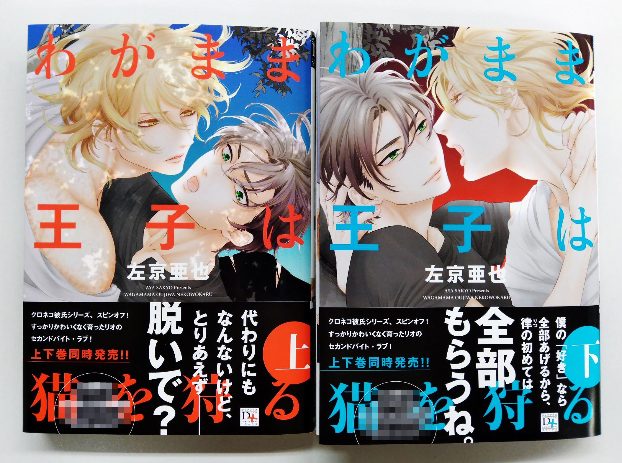 ディアプラス シェリプラス編集部 D C 6月の新刊 予約受付中 見本が完成しました 6 1 火 発売 左京亜也 先生 わがまま王子は猫を狩る 猫科人間のリオは 大学に通いながら雑誌のモデルをしている ある日 編集