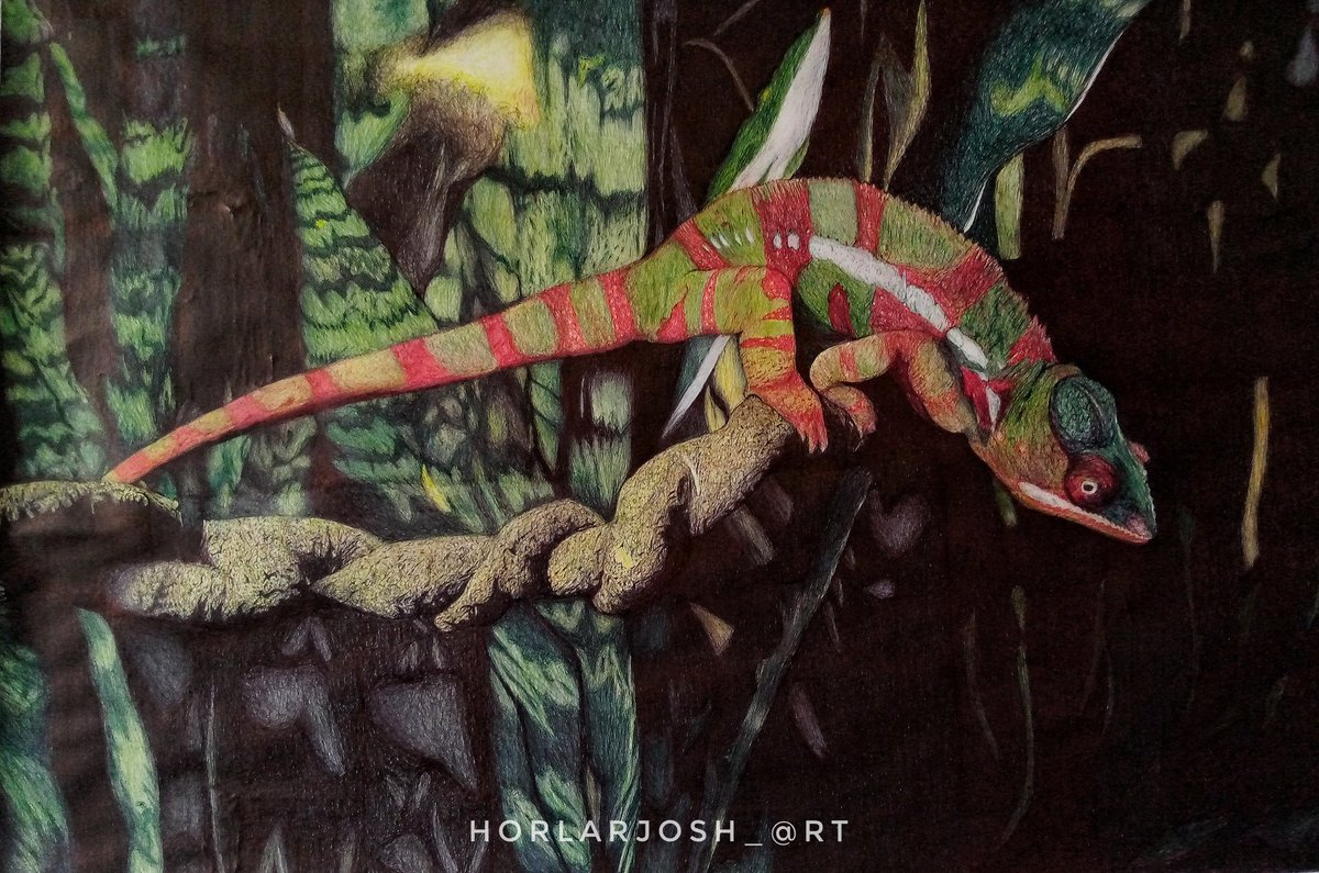 How it started         How it ended

Made with colour pens on pelican paper
Kindly help RT my Art🙏🏾

Blaqbones||Davido||Werner||Viera||Mendy