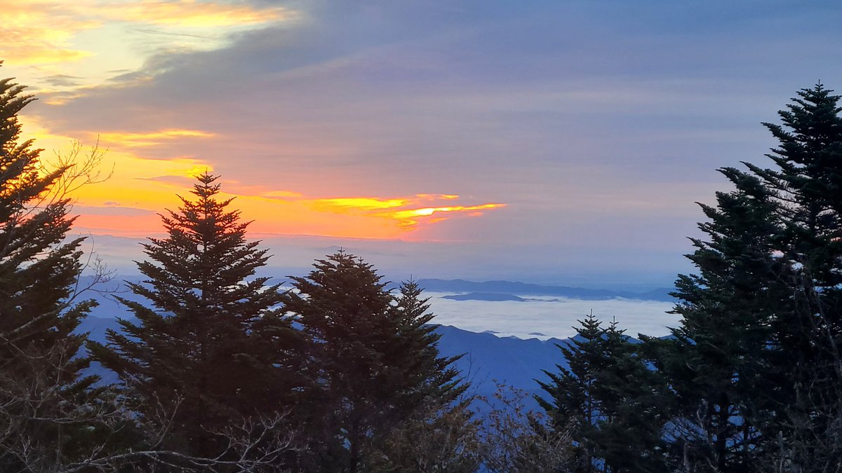 MAR76405672's tweet photo. 甲武信ヶ岳。この山は登山道に川が平行してて、常に柔らかなせせらぎの音を聴きながら登ることが出来ます。
Scenery of Mt. Kobushigadake in the mountains of Japan.
#登山 #山の写真で好きなのを4つ上げる #甲武信ヶ岳 #自然 #chill https://t.co/kSmmA1t545