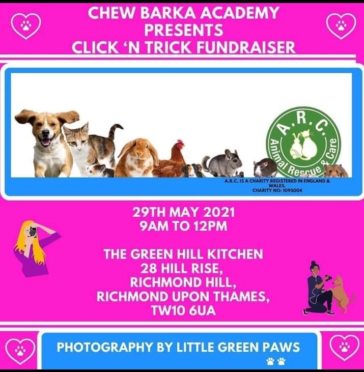 Animal Rescue Care Arcanimalrescue Twitter